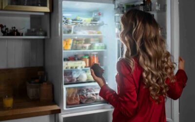 Proper Viking Refrigerator and Freezer Storage Tips after the Holiday Feasts!