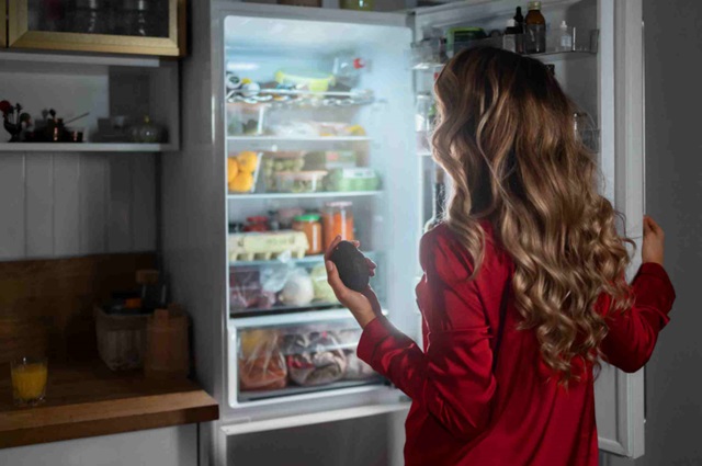 Proper Viking Refrigerator and Freezer Storage Tips after the Holiday Feasts!